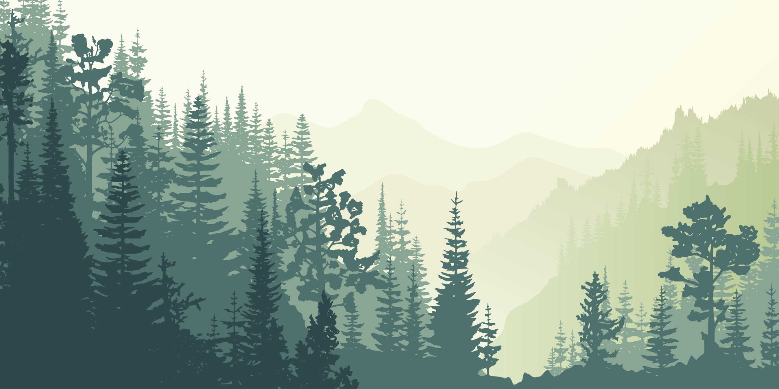 Sunrise in the mountains, wild forest, misty silhouettes of ridges, vector illustration